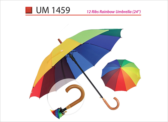 12 Ribs Rainbow Umbrella 24inch UM1459