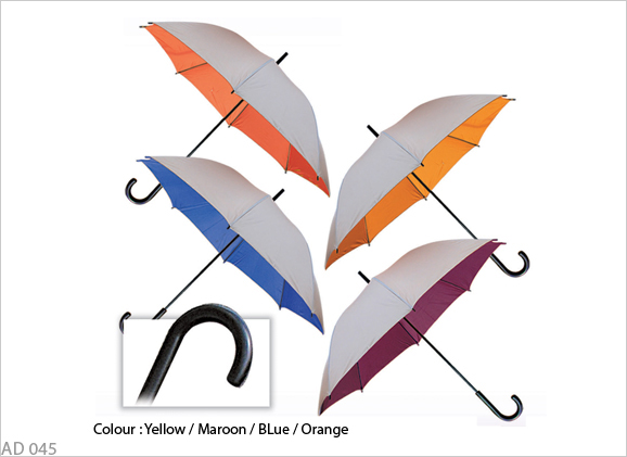 24 inch Silver Top Coated J Handle Umbrella