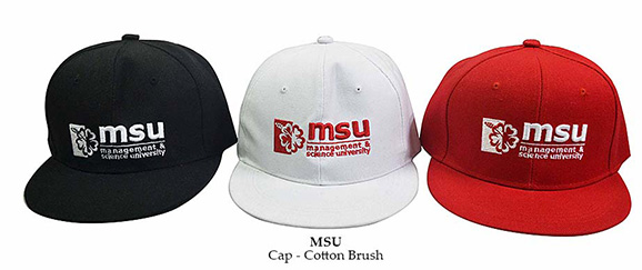 Cap MSU 170418