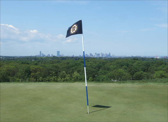 Golf Pin Flag